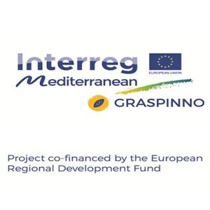 logo-GRASPINNO1